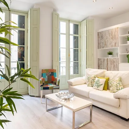 Homemalaga Constitucion